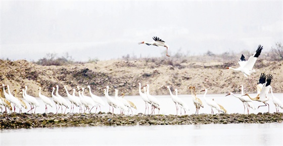 C:Documents and SettingsAdministrator桌面j487一版.JPG