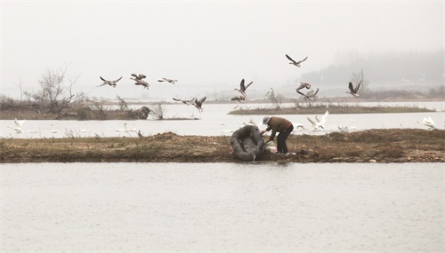 日报一版霍山梅少武摄 (2).jpg