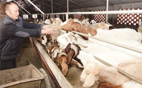 DSC_7196八版.JPG DSC_7196八版.JPG