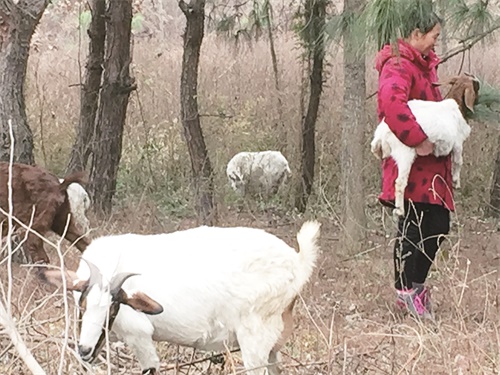 IMG_8940八版.JPG IMG_8940八版.JPG