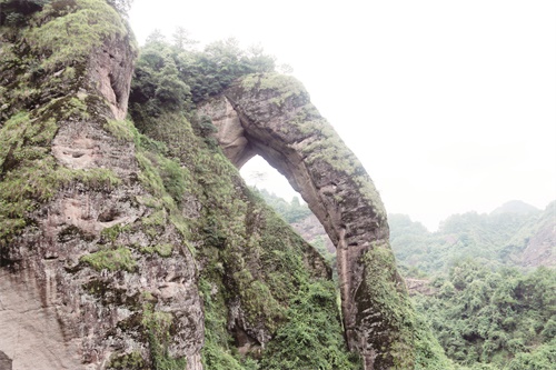 日报八版3.JPG 日报八版3.JPG