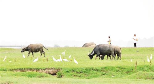 八版2.jpg 八版2.jpg