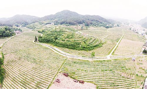 金寨01271.jpg 金寨01271.jpg