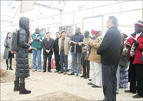 木兰3.JPG 木兰3.JPG