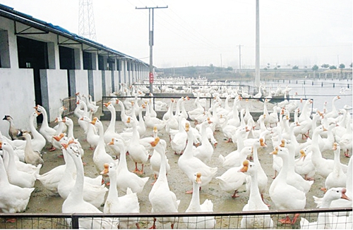 核心群3.jpg 核心群3.jpg