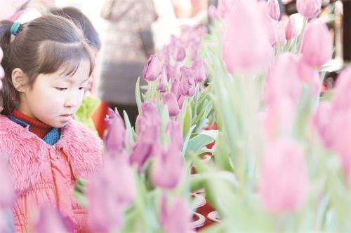 TKP日报一版1.JPG TKP日报一版1.JPG