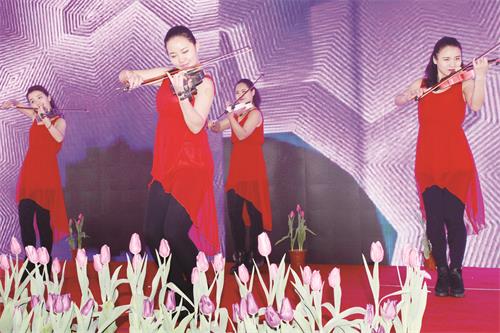 小提一版3.JPG 小提一版3.JPG