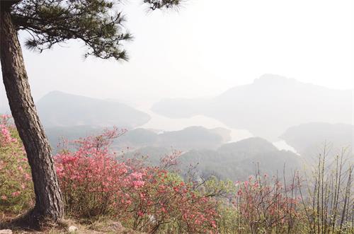 卢德璋3.jpg 卢德璋3.jpg