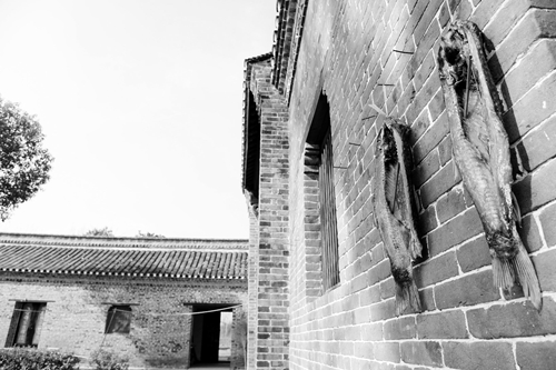 日报六版李氏庄园一角。记者 田凯平 摄.JPG