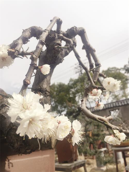 日报八版IMG_0452.JPG 日报八版IMG_0452.JPG