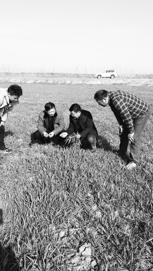 日报六版22300120.jpg 日报六版22300120.jpg