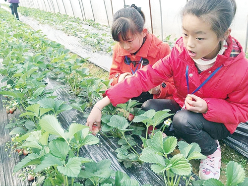 八22800355.JPG 八22800355.JPG