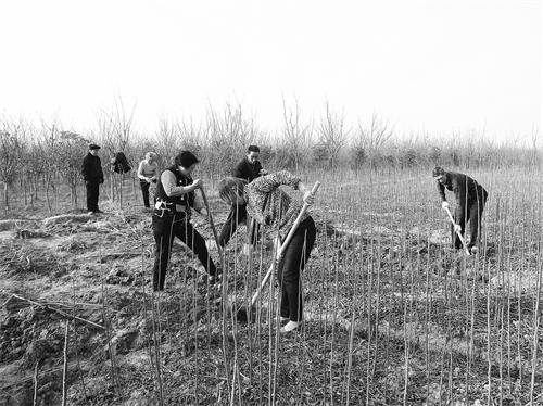 六30800150.jpg 六30800150.jpg