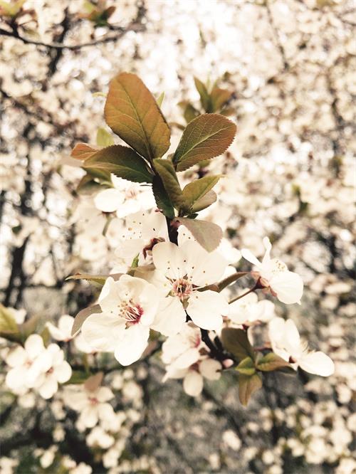 30800117八版1.jpg 30800117八版1.jpg