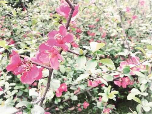 30800113八版4.jpg 30800113八版4.jpg