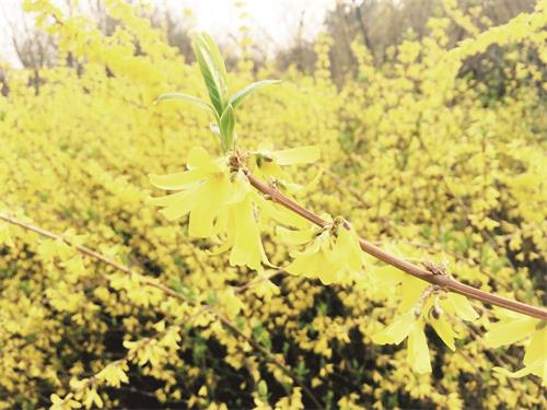 30800114八版3.jpg 30800114八版3.jpg