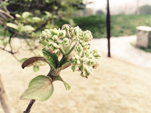 30800116八版2.jpg 30800116八版2.jpg