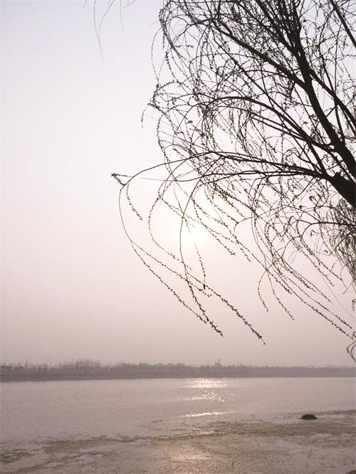 八杨蹊远  城北小学.jpg