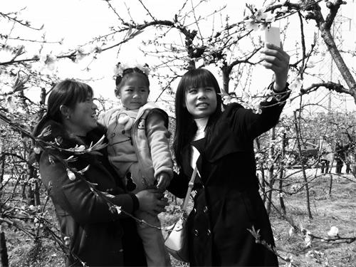 日报六版安区首届桃花节.JPG 日报六版安区首届桃花节.JPG