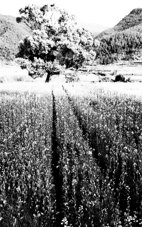 七31100380.jpg 七31100380.jpg