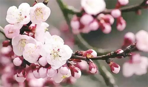 日报八版23551.jpg 日报八版23551.jpg