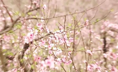 日报八版6776444.jpg 日报八版6776444.jpg