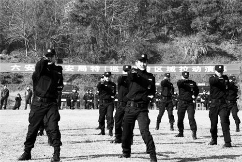 日报三版特警在进行拉动演练。.jpg 日报三版特警在进行拉动演练。.jpg