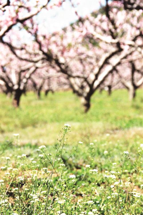 32500110五版.jpg 32500110五版.jpg