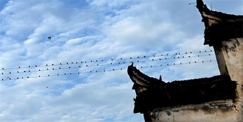 日报七版150914134556.jpg 日报七版150914134556.jpg