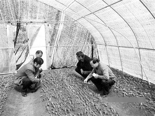 32900092六版.jpg 32900092六版.jpg