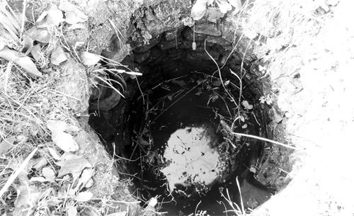 日报六版SAM_8495.jpg 日报六版SAM_8495.jpg