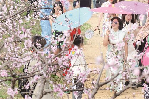 花海旗袍秀.JPG 花海旗袍秀.JPG