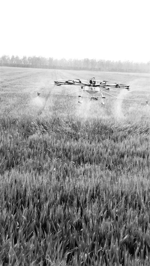 日报六版41800090.jpg 日报六版41800090.jpg