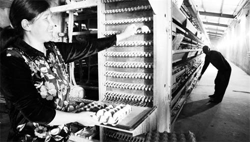 41900357六版3424.JPG 41900357六版3424.JPG