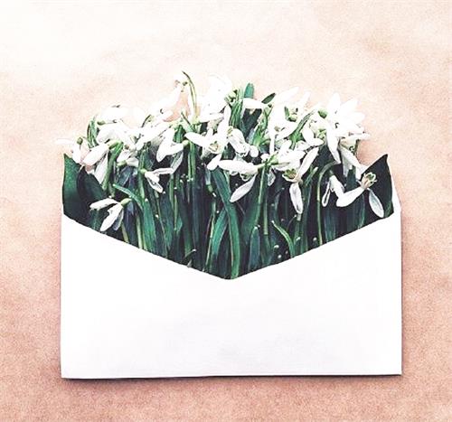 96a79eebgw1ewtnbvffopj20c50bdwft.jpg 96a79eebgw1ewtnbvffopj20c50bdwft.jpg