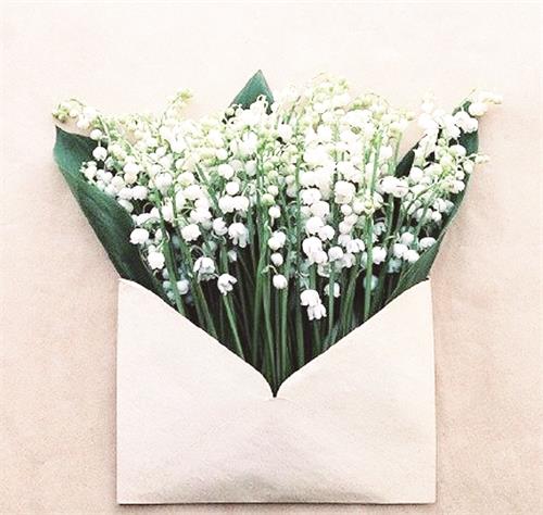 96a79eebgw1ewtnbw13hhj20c00bemyn.jpg 96a79eebgw1ewtnbw13hhj20c00bemyn.jpg