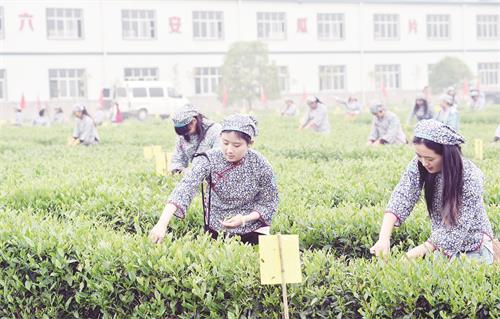 一YUE_7946.jpg 一YUE_7946.jpg