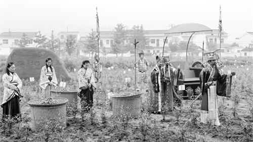 日报二版安茶。记者 田凯平 摄.JPG 日报二版安茶。记者 田凯平 摄.JPG