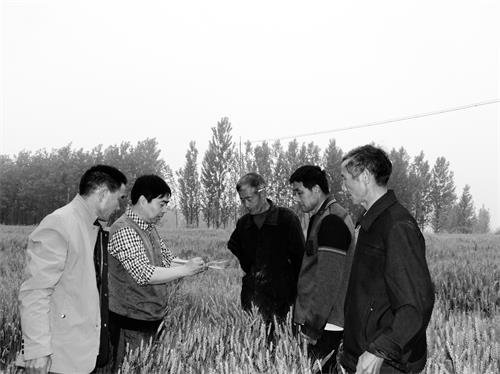 42600116六版.jpg 42600116六版.jpg