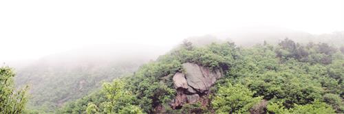 IMG五1.jpg IMG五1.jpg