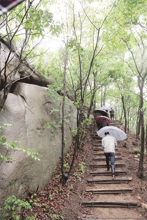 IMG五3.jpg IMG五3.jpg