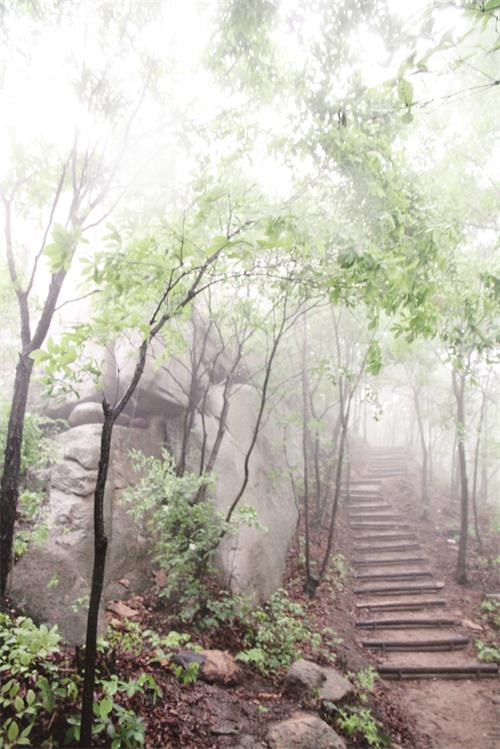 IMG五5.jpg IMG五5.jpg