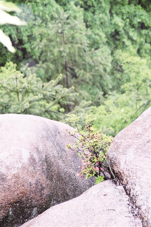 IMG五6.jpg IMG五6.jpg