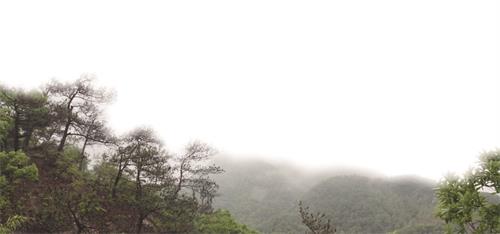 IMG五8.jpg IMG五8.jpg