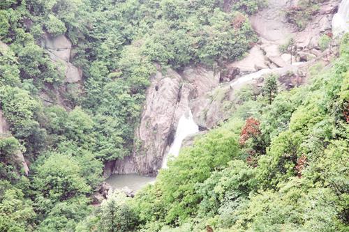 IMG五9.jpg IMG五9.jpg