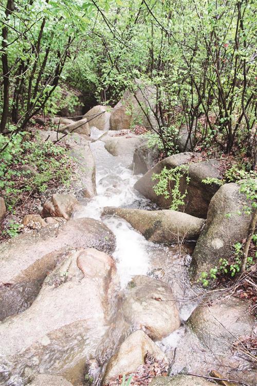 IMG五10.jpg IMG五10.jpg