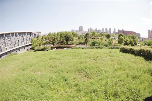 50200183五版.JPG 50200183五版.JPG