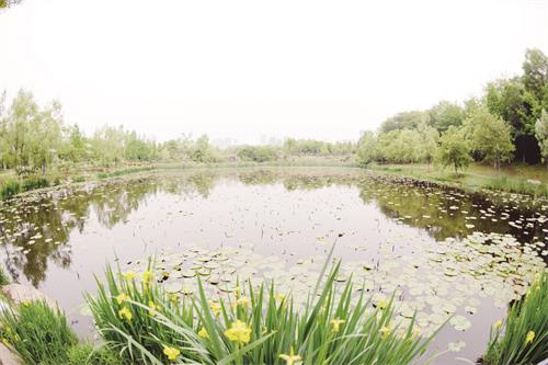 50200174五版.JPG 50200174五版.JPG