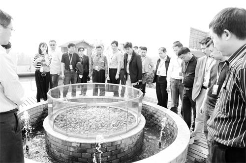 六50300175.JPG 六50300175.JPG