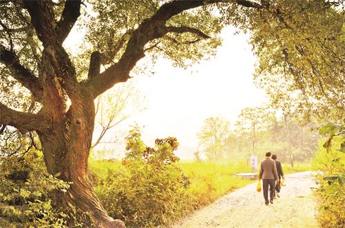 50200171八版1.jpg 50200171八版1.jpg